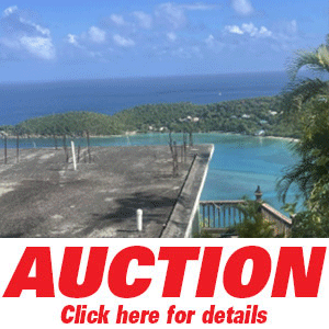 3-5auction_lambert