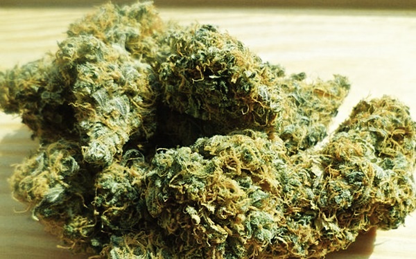 23yo gets suspended sentence for 42 grams of marijuana