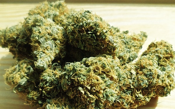 Gov’t worker tells court he needs marijuana to ‘meditate’