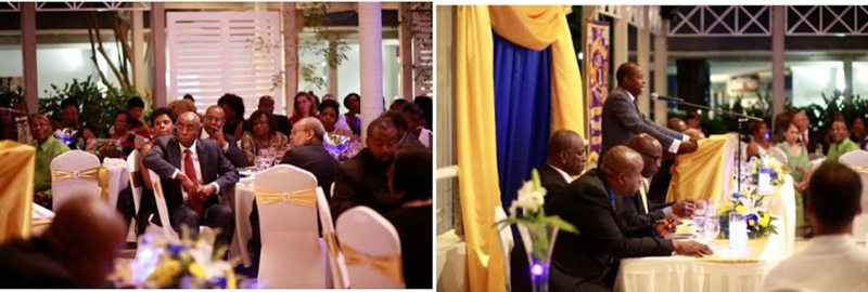 Lions host well-attended gala