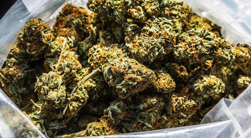 Marijuana is gateway to cocaine, magistrate warns
