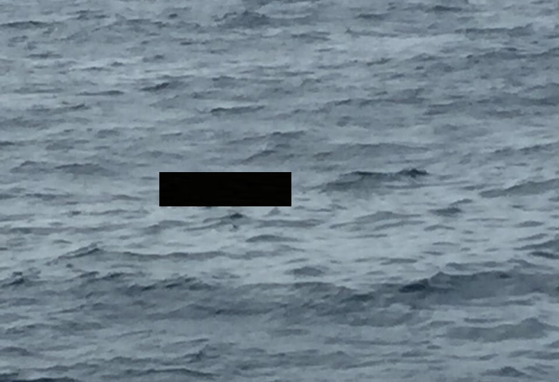 Body found at sea without life jacket