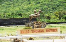 Too much invested in Ellis Thomas Downs to lose it now — Parsons
