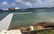 The dock at the Trellis Bay.