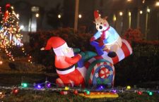 Christmas decorations at the roundabout in Road Town, Tortola.