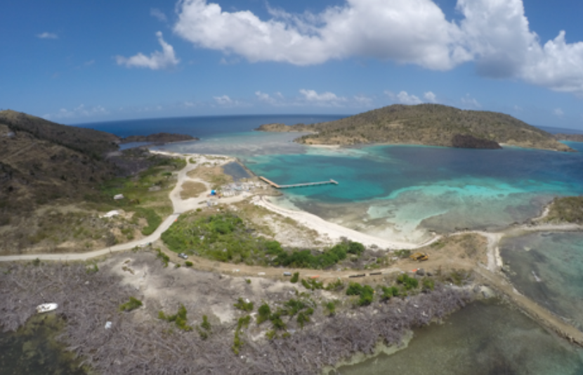 BVI mangrove population nearly wiped out