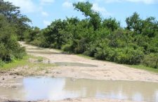 A section of public road on Anegada. (Photo by Esther Durand BVI News)