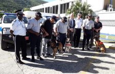 Three police dogs were present to local media at teh relaunch of the RVIPF K9 Unit on Wednesday, November 28. (Photo by Esther Durand/BVI News)