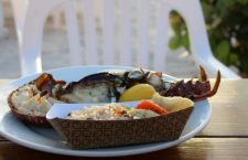 Strong comeback expected for Lobster Fest this year