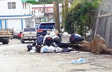 This photograph shows garbage being piled along the roadway in Purcell Estate.