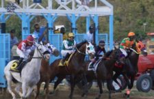 Horseracing back on this Sunday with seven races!