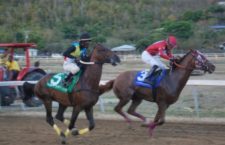 Premier pressed over horse racing return