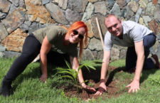 Tourist Board’s ‘Seeds of Love’ celebrates the earth