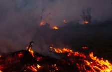 Not the actual scene of the blaze mention in the story.