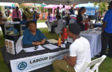 Job seekers flock career expo, 30+ businesses participate