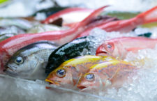 $400K insurance payout for Fishing Complex should be used to rebuild