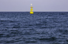 Floating buoys in the sea