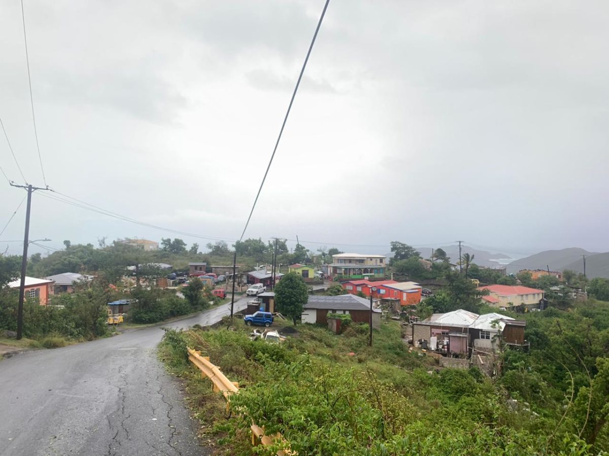 Preliminary assessment: Sister Islands fared well during Dorian
