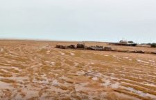 Dorian blows thick blanket of sargassum along Anegada