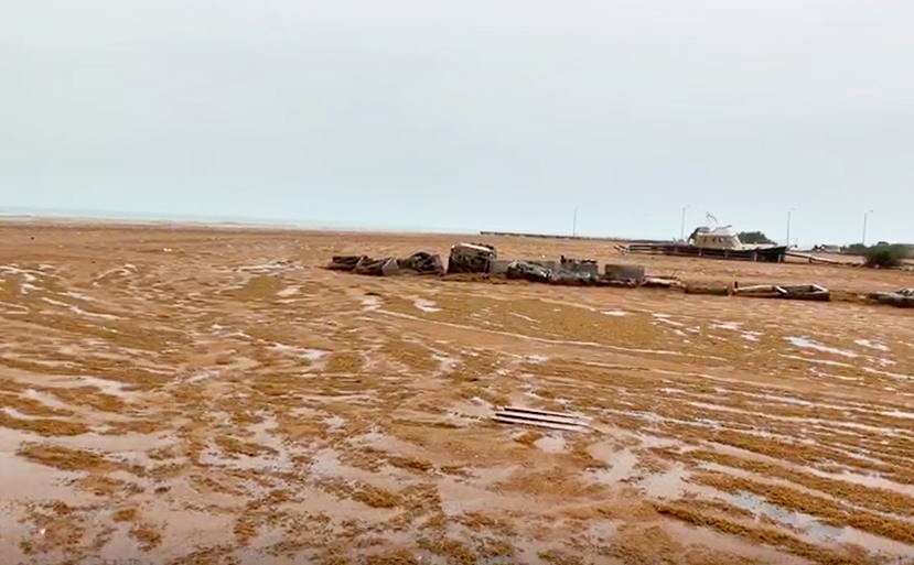 Dorian blows thick blanket of sargassum along Anegada