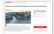 Another anti-Dolphin Discovery petition emerges, several rally behind online protest
