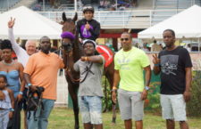 NADIAE’S IMAGE from the BVI's Top Priority Racing Stables won one of the two races before the remaining races were called off on Boxing Day.