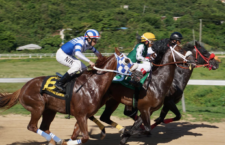 Horseracing action at the Ellis Thomas Downs in Sea Cows Bay on Sunday, February 2, 2020. Photos by Andre 'Shadow' Dawson/BVI News Photographer