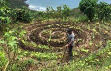 On Good Moon Farm in Tortola. (Photo provided)