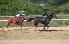 MOONLIGHT BANDIT defeats WARRIOR'S RIDGE's in the BVI's first horse racing event since COVID-19.