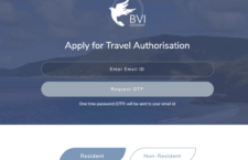 Screenshot of the BVI Gateway homepage captured Monday night, November 23, 2020.