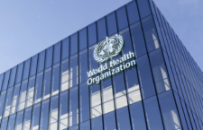 WHO Report: COVID likely transmitted to people from animal