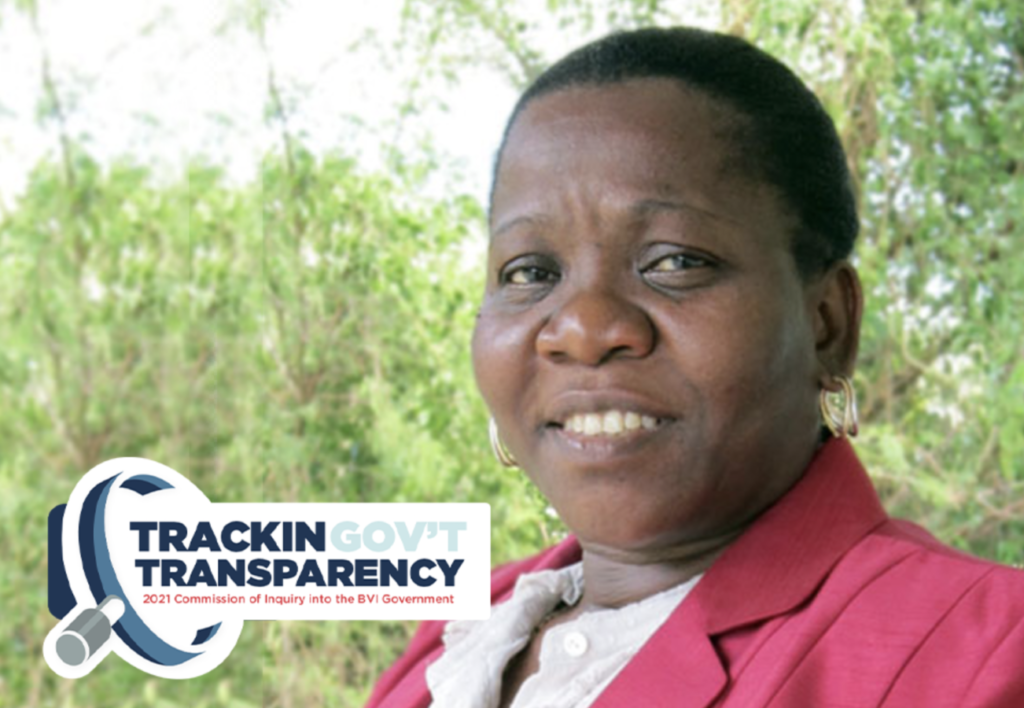 Irregularities discovered in Skelton Cline’s contract with gov’t