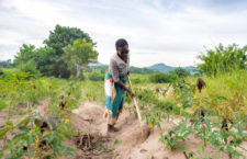 Farmers, fishers get $6.1M stimulus! Premier notes food security threat