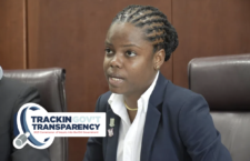 Government legislator, Sharie de Castro