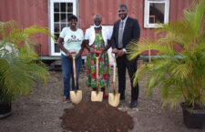 A ceremonial photo to mark the lauch of the D7 Garden Programme. (Photo provided)