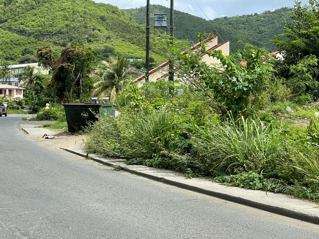 New bush-cutting rules delay beautification projects