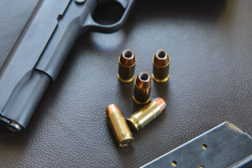 Twin brothers slapped with gun and ammo charges