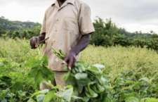 Paraquita Bay land Management Committee established