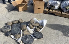 The marijuana allegedly found hidden in bags of coal had a street value of a little more than $61,000.