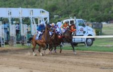Scenes from the August Tuesday Races held at the Ellis Thomas Downs in Sea Cows Bay. (Photos by Andre 'Shadow' Dawson)