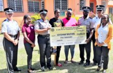 RVIPF partners with Safe Haven to make injured rider walk again