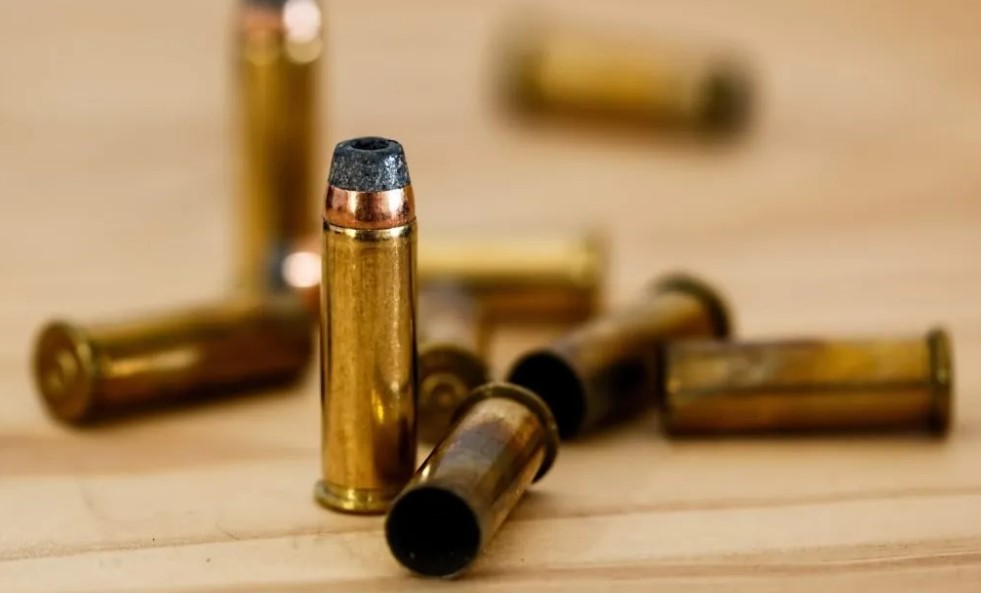 Alliance calls for stiffer penalties for possession of ammo