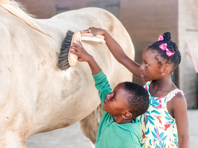 Redemption Ranch aims to heal BVI through animal therapy