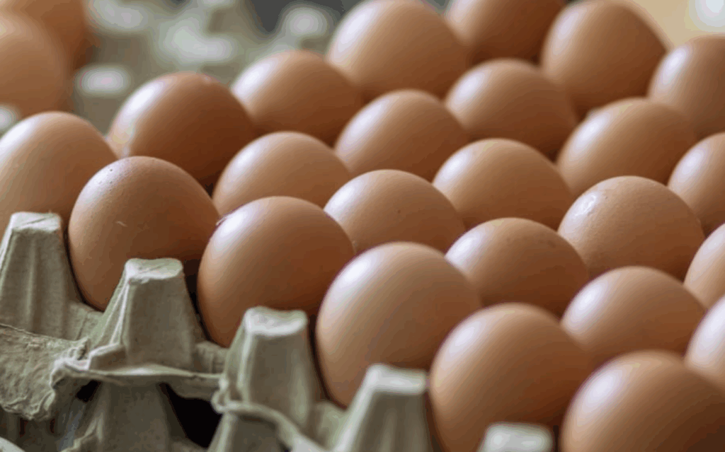 Egg prices slashed as RiteWay unveils ‘Oh so Good’ eggs