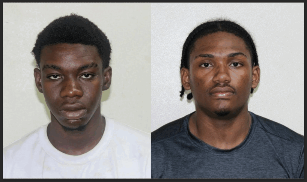 Teens charged following illegal gun find