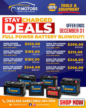 vi_motors_battery_deals_300