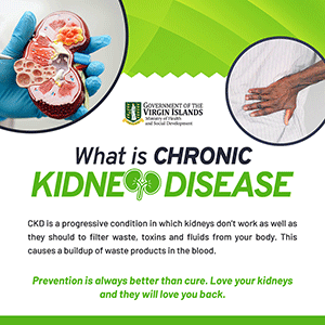 Kidney-Flyers-01_300