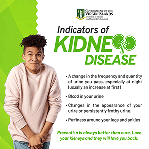 Kidney-Flyers-02_300