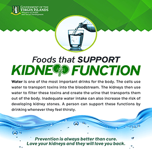Kidney-Flyers-04_300