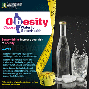 OBESITY-flyers-02_300